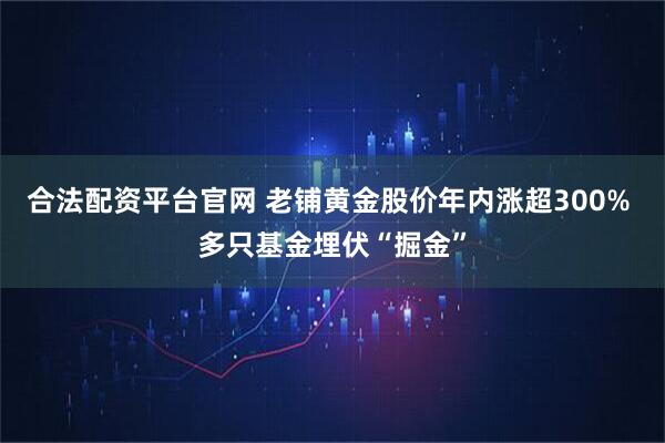合法配资平台官网 老铺黄金股价年内涨超300% 多只基金埋伏“掘金”