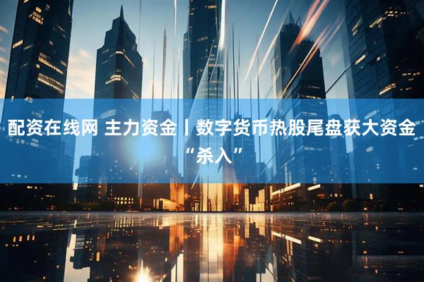 配资在线网 主力资金丨数字货币热股尾盘获大资金“杀入”